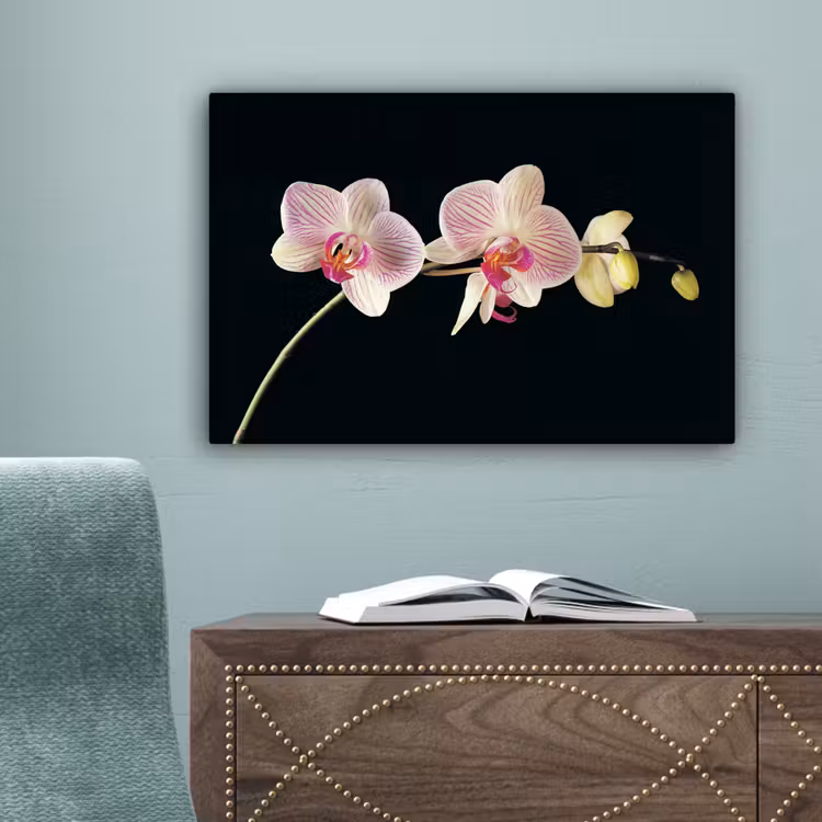 Orchidee - Bloemen - Zwart - Roze - Knoppen canvas 2cm klein -sfeer4