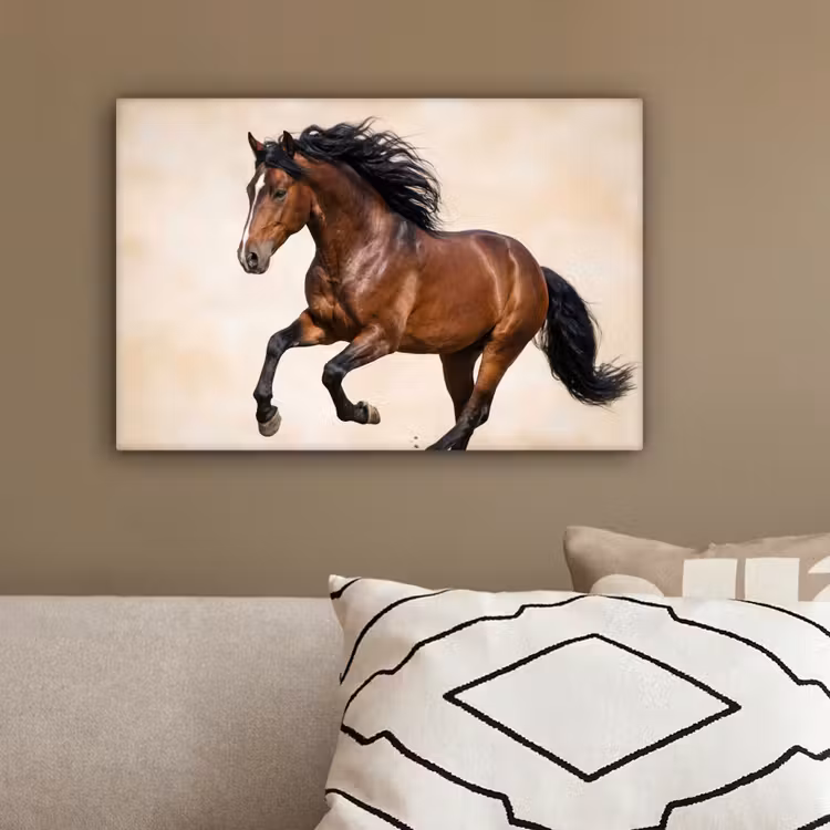 Paard - Galop - Energie canvas 2cm klein -sfeer3
