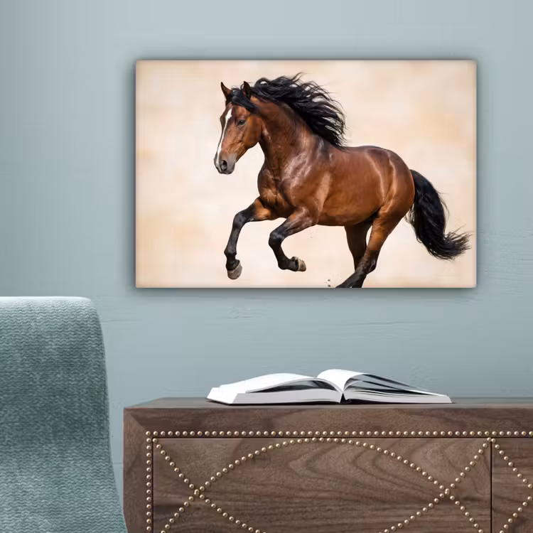Paard - Galop - Energie canvas 2cm klein -sfeer4