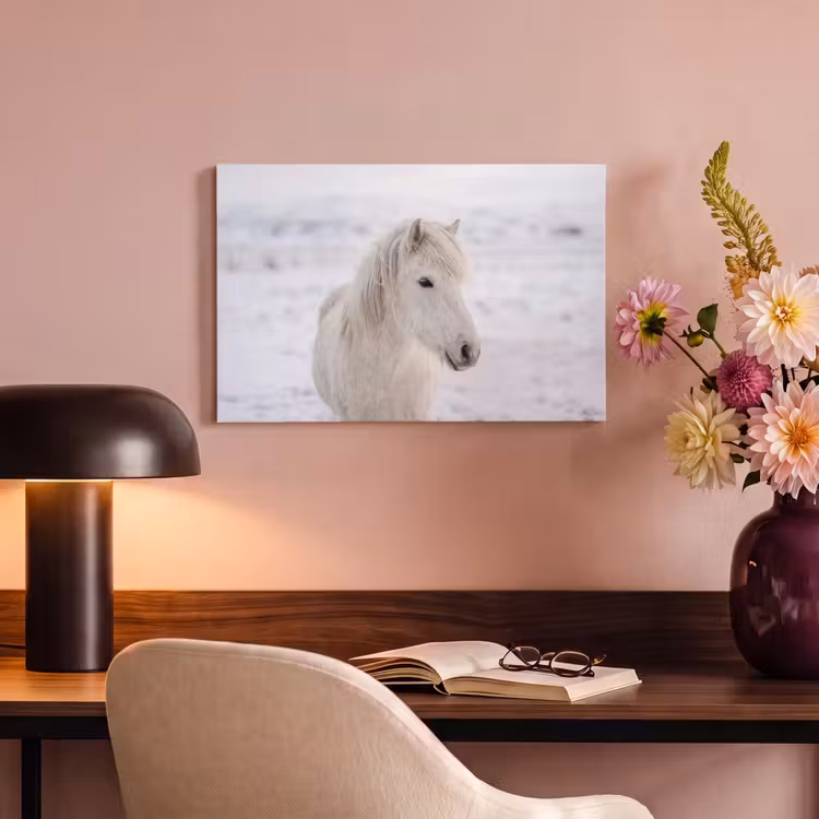 Paard - Kop - Winter - Dieren - Wit canvas 2cm klein -sfeer4