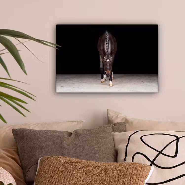 Paard - Modern - Portret canvas 2cm klein -sfeer1