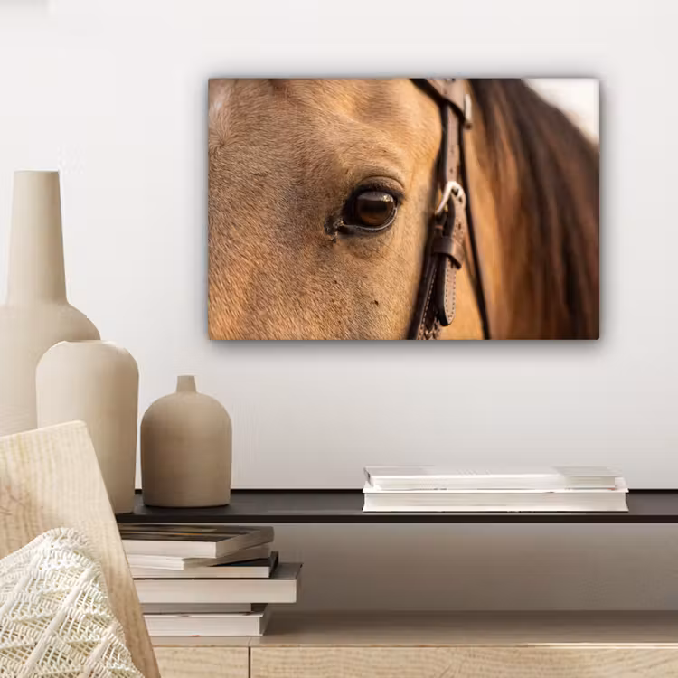 Pferd - Auge - Braun canvas 2cm klein -sfeer6