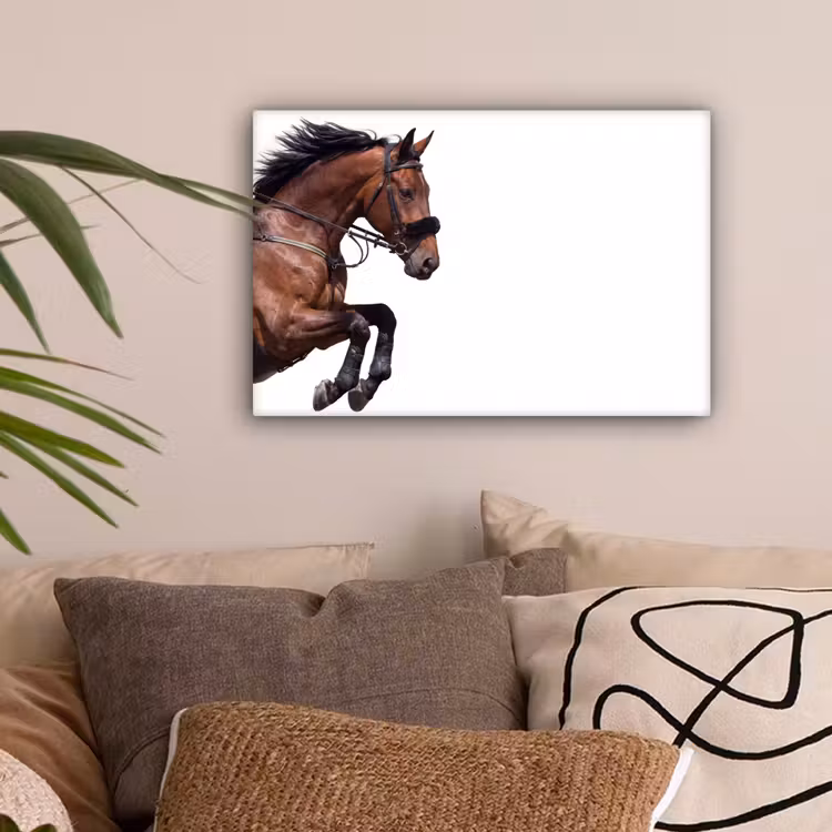 Paard - Springen - Modern canvas 2cm klein -sfeer1