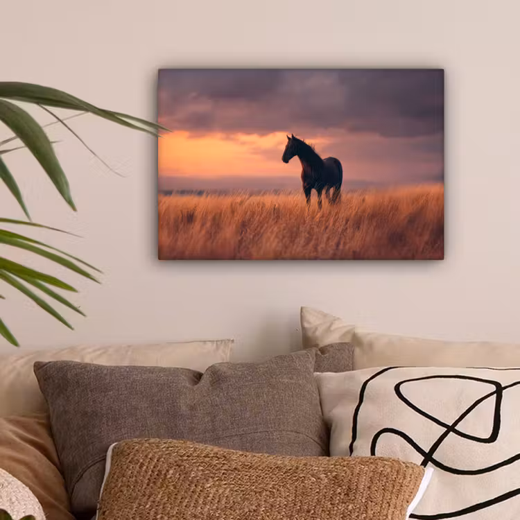 Paard - Wolken - Open veld canvas 2cm klein -sfeer1