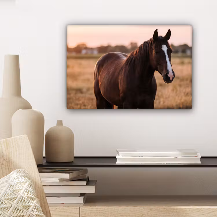 Paard - Zonsondergang - Bruin canvas 2cm klein -sfeer6