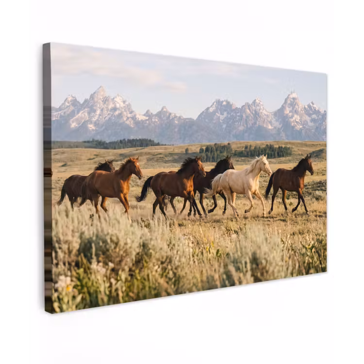 Paarden - Kudde - Bergen - Vrijheid - Wild canvas 2cm klein -z3d