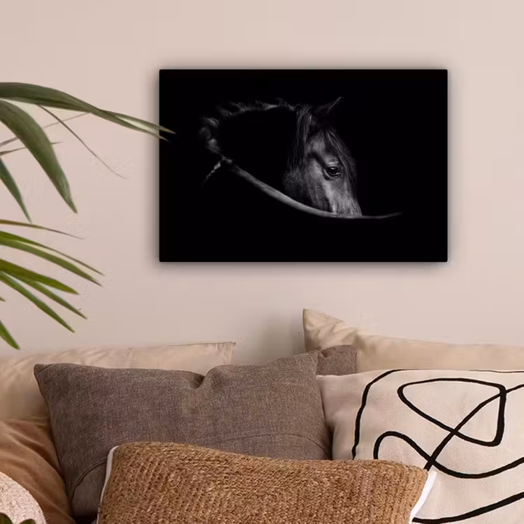 Paarden - Portret - Zwart - Dieren canvas 2cm klein -sfeer1