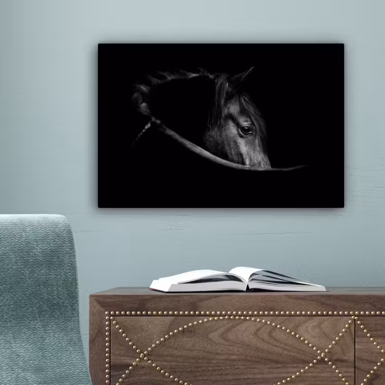 Paarden - Portret - Zwart - Dieren canvas 2cm klein -sfeer4