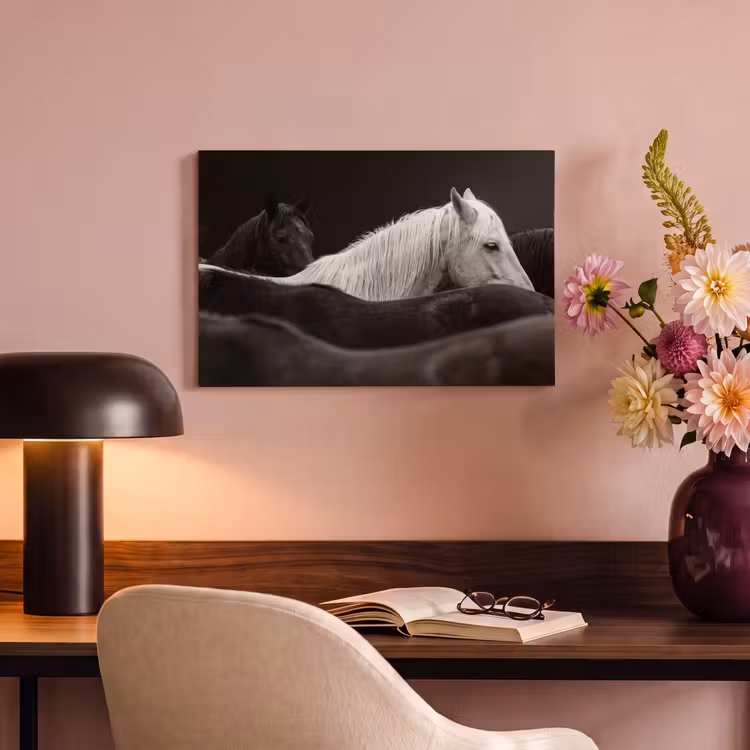 Paarden - Zwart - Wit - Kudde canvas 2cm klein -sfeer4