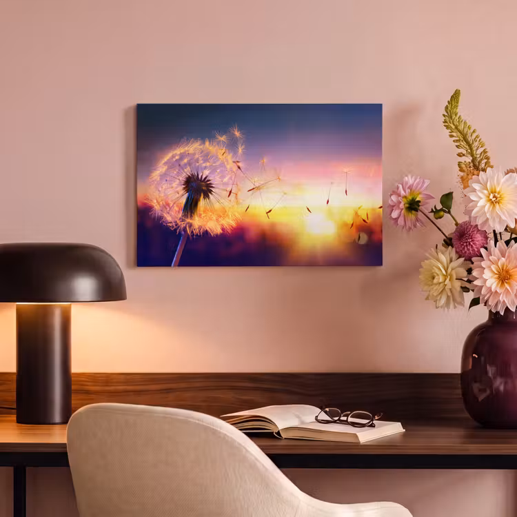 Paardenbloem - Bloemen - Zonsondergang - Horizon - Nacht canvas 2cm klein -sfeer4