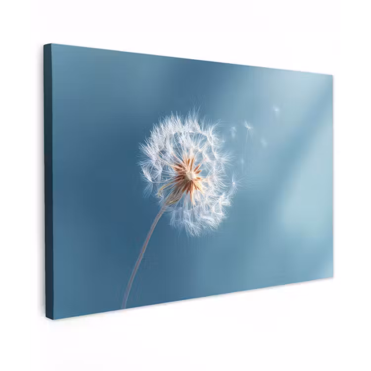 Paardenbloem - Wind - Blauw canvas 2cm klein -z3d