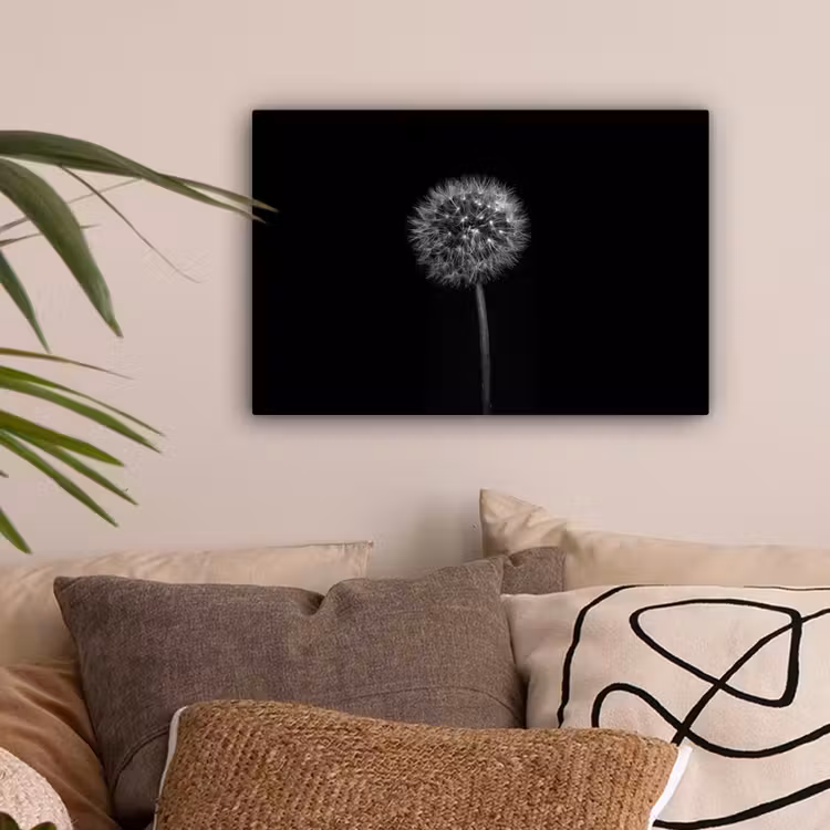 Paardenbloem - Zwart - Bloemen - Botanisch canvas 2cm klein -sfeer1