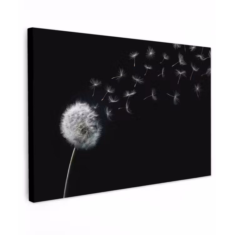 Paardenbloem - Zwart - Natuur canvas 2cm klein -z3d