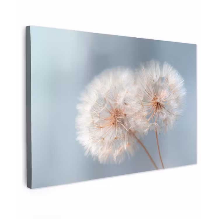 Paardenbloemen - Pluisjes - Wit canvas 2cm klein -z3d