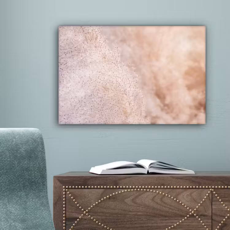 Pampasgras - Structuur - Planten - Natuur canvas 2cm klein -sfeer4