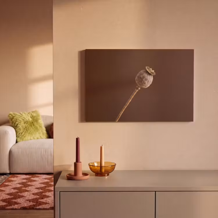 Papaverbol - Droogbloem - Bruin - Minimalistisch canvas 2cm klein -sfeer1