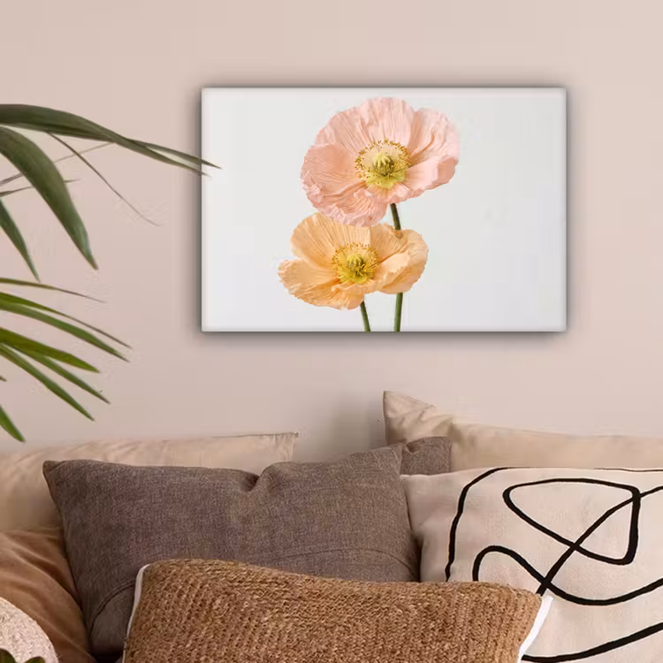Papavers - Botanisch - Roze canvas 2cm klein -sfeer1