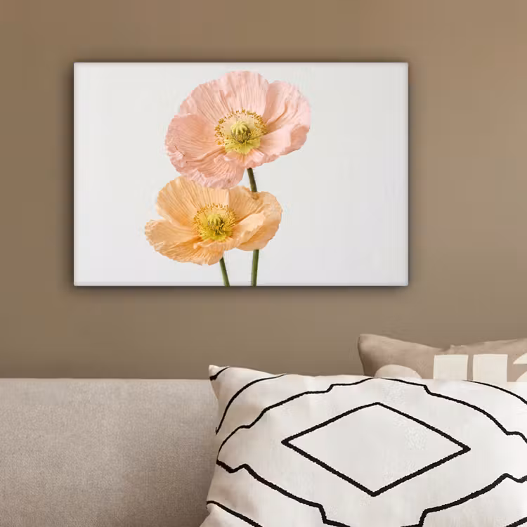 Papavers - Botanisch - Roze canvas 2cm klein -sfeer3