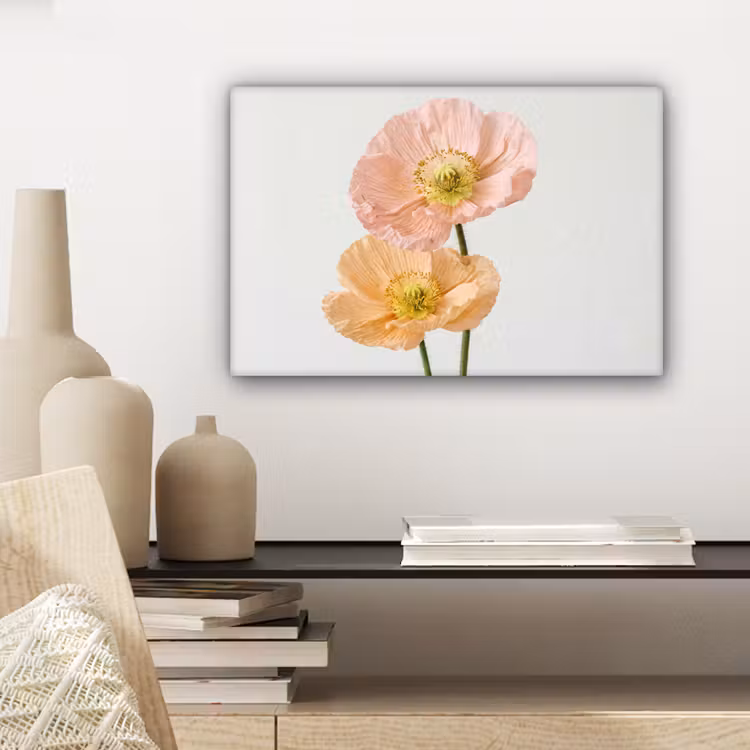 Papavers - Botanisch - Roze canvas 2cm klein -sfeer6