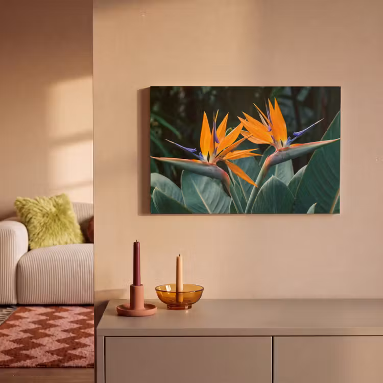Paradijsvogel - Bloem - Exotisch canvas 2cm klein -sfeer1