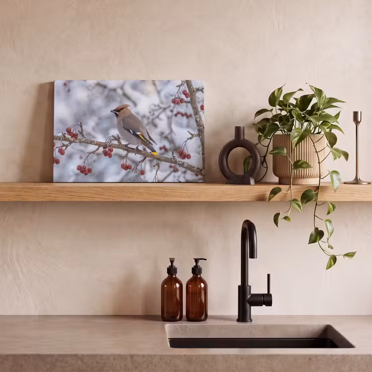 Pestvogel - Bessen - Winter - Natuur canvas 2cm klein -sfeer3