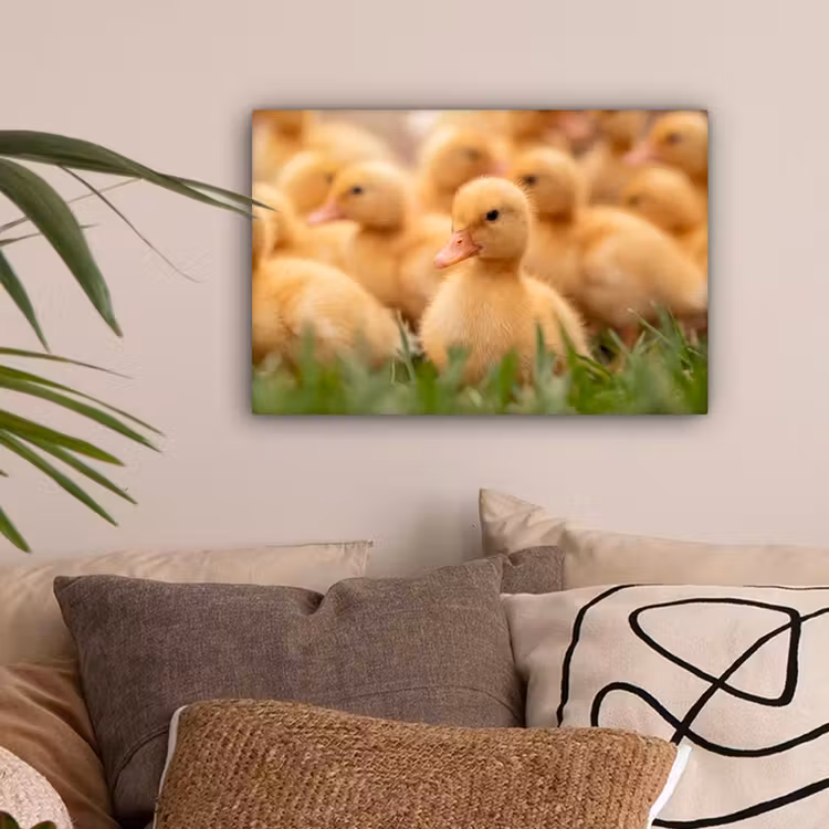 Pijltje - Eend - Natuur - Geel canvas 2cm klein -sfeer1