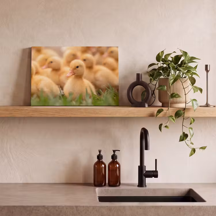 Pijltje - Eend - Natuur - Geel canvas 2cm klein -sfeer3