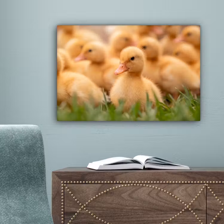 Pijltje - Eend - Natuur - Geel canvas 2cm klein -sfeer4