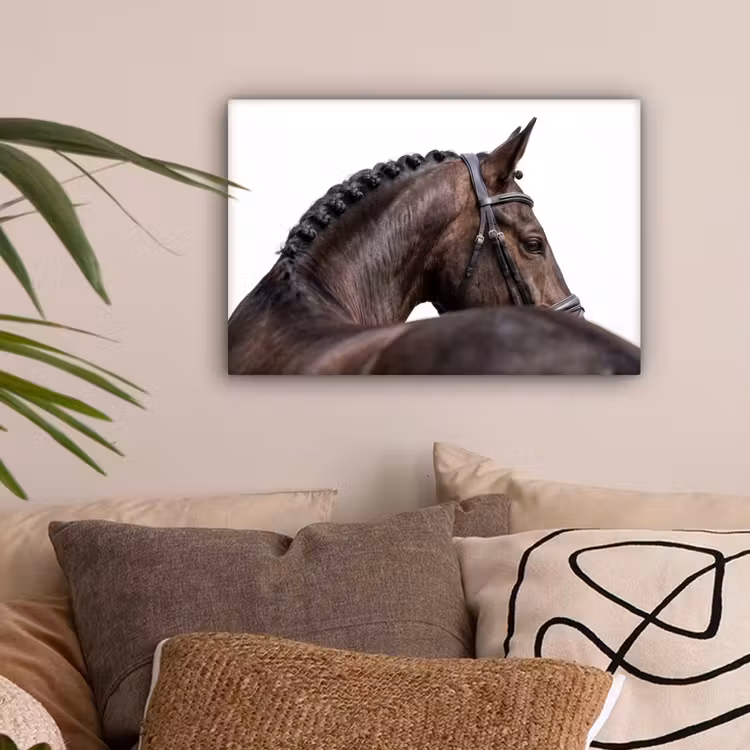 Portret - Paard - Elegant canvas 2cm klein -sfeer1