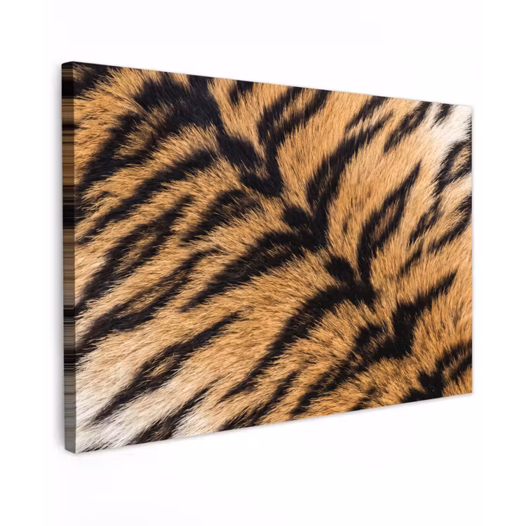Realistisch - Tijgervacht - Zwart canvas 2cm klein -z3d