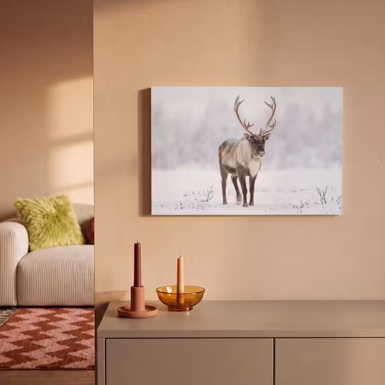 Rendier - Gewei - Toendra - Sneeuw - Wild canvas 2cm klein -sfeer1