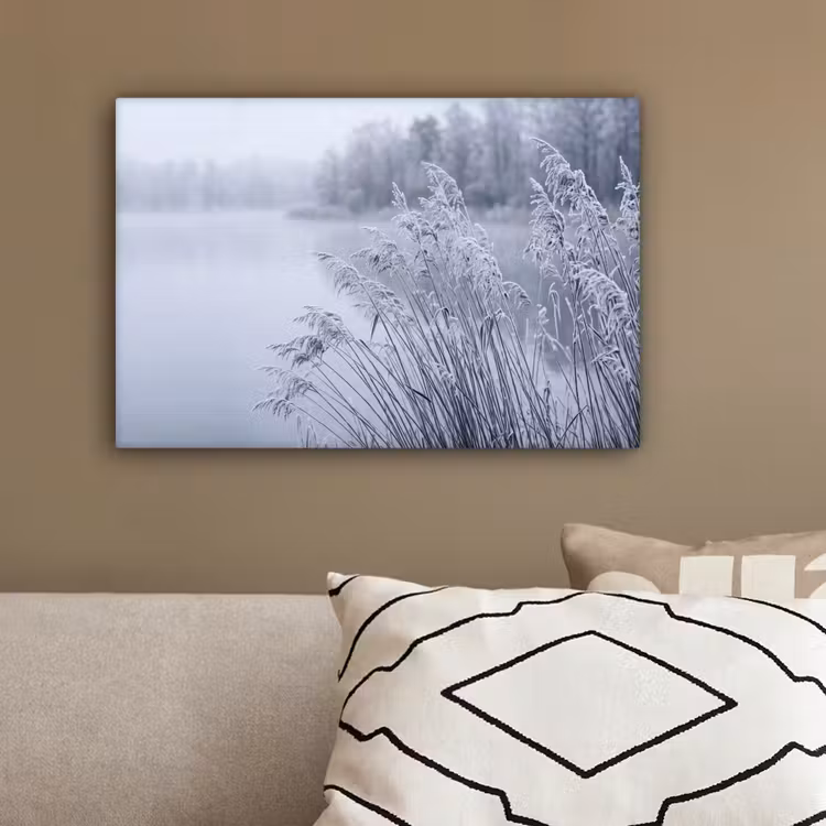 Riet - Bevroren - Winter - Natuur canvas 2cm klein -sfeer3