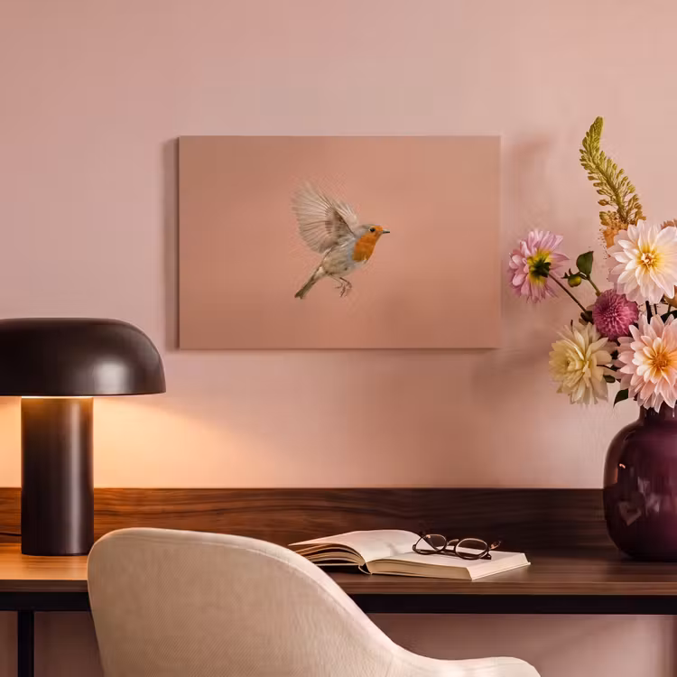 Roodborst - Natuur - Roze canvas 2cm klein -sfeer4