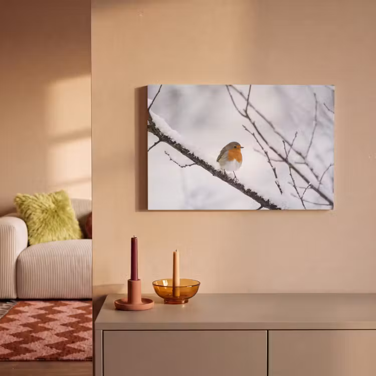 Roodborstje - Tak - Sneeuw - Winter - Levendig canvas 2cm klein -sfeer1