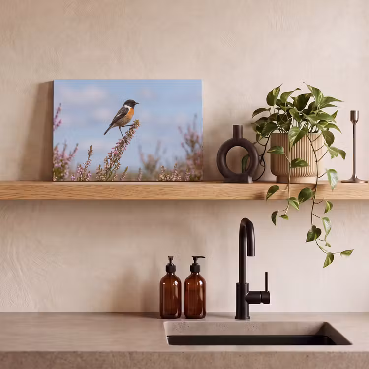 Roodborsttapuit - Heide - Paars - Natuur - Sfeervol canvas 2cm klein -sfeer3