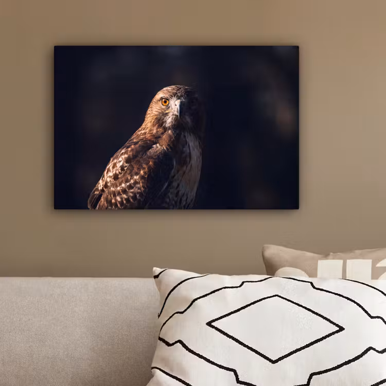 Roofvogel - Buizerd - Bruin canvas 2cm klein -sfeer3