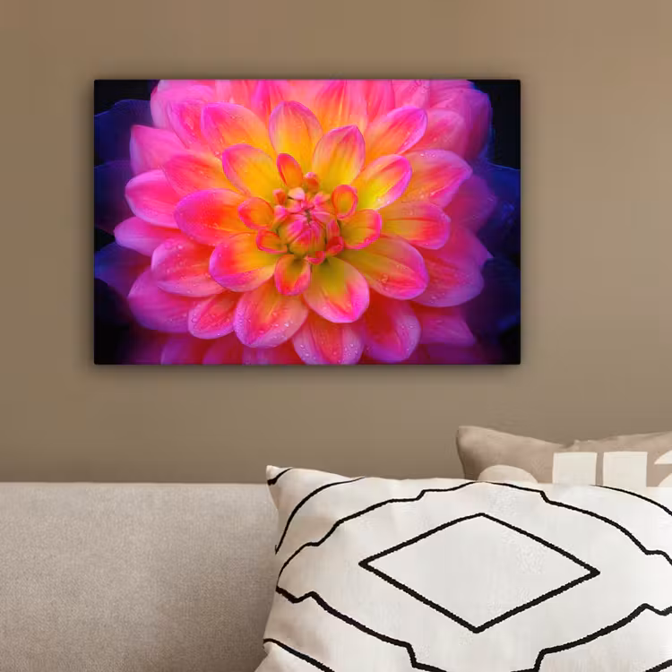 Roze - Dahlia - Kleurrijk canvas 2cm klein -sfeer3