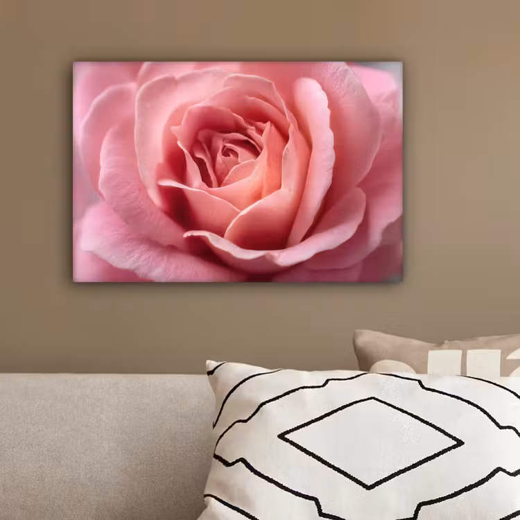 Roze - Roos - Romantisch canvas 2cm klein -sfeer3