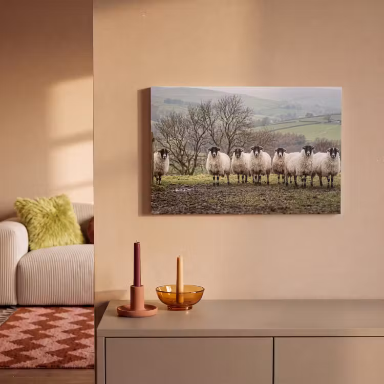 Schapen - Rij - Weide - Dieren - Platteland canvas 2cm klein -sfeer1