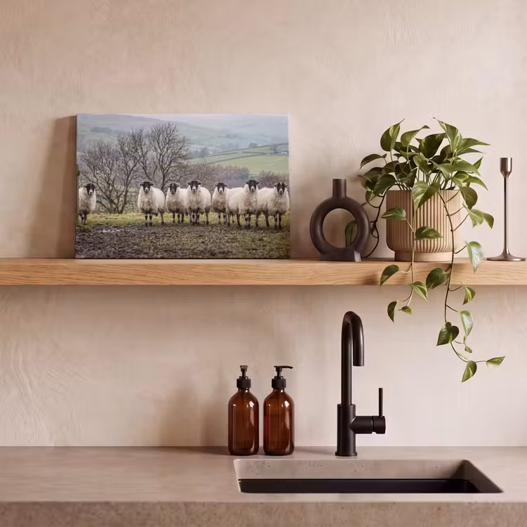 Schapen - Rij - Weide - Dieren - Platteland canvas 2cm klein -sfeer3