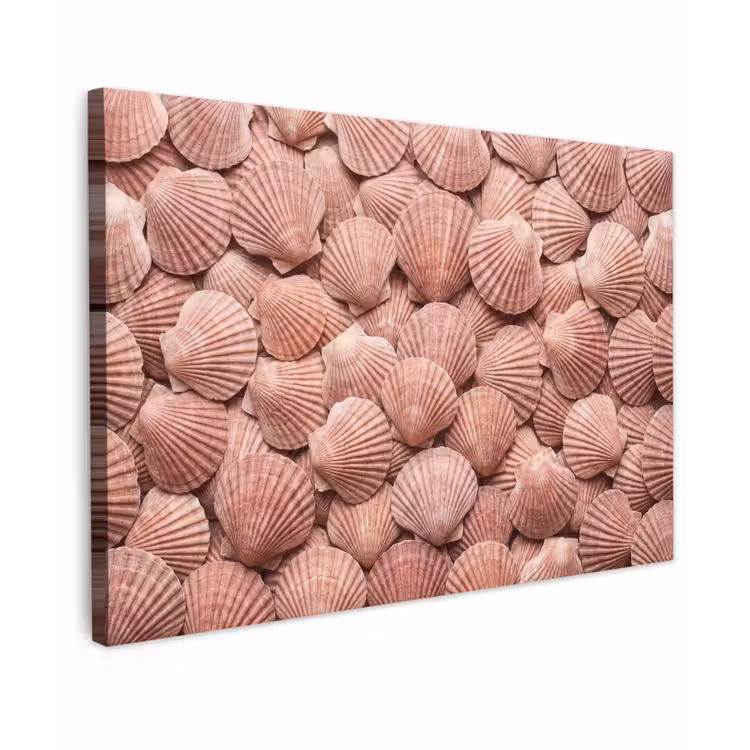 Schelpen - Patroon - Roze canvas 2cm klein -z3d
