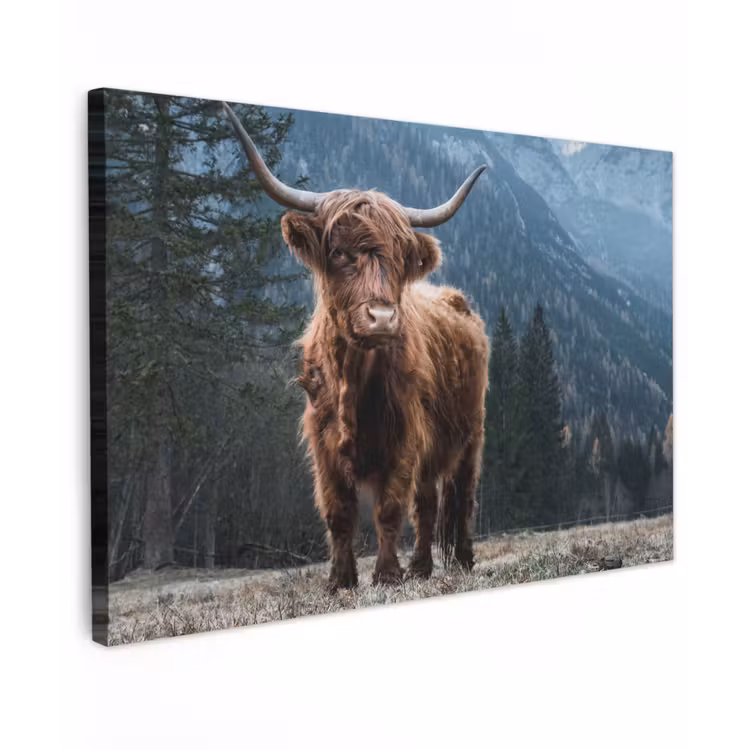 Schotse hooglander - Berg - Landschap - Bomen - Koe - Natuur canvas 2cm klein -z3d