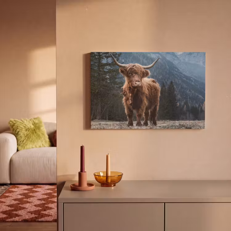 Schotse hooglander - Berg - Landschap - Bomen - Koe - Natuur canvas 2cm klein -sfeer1