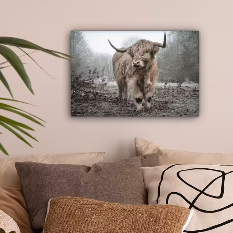 Schotse Hooglander - Bos - Mist - Koe - Dieren - Natuur canvas 2cm klein -sfeer1