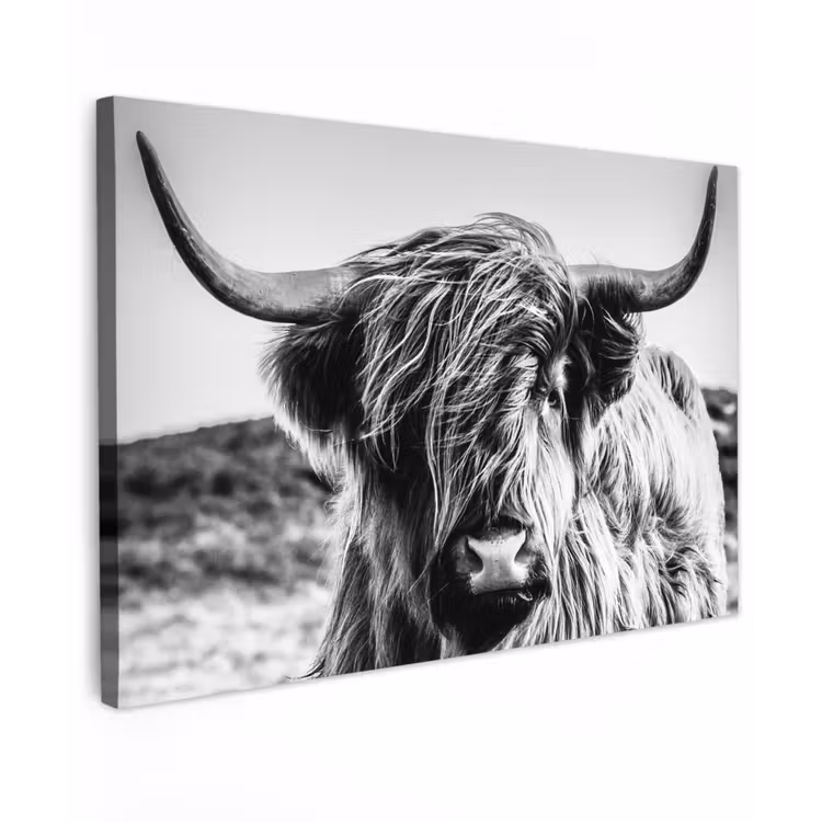 Schotse hooglander - Close up - Horens - Vacht - Zwart Wit canvas 2cm klein -z3d