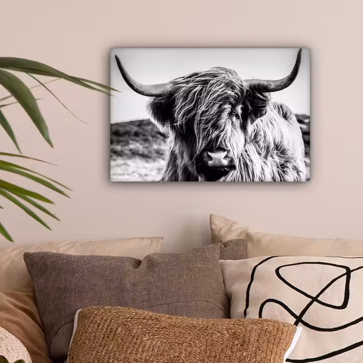 Schotse hooglander - Close up - Horens - Vacht - Zwart Wit canvas 2cm klein -sfeer1
