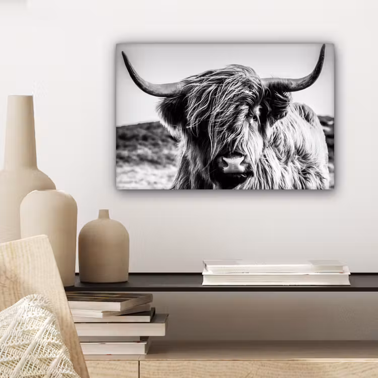 Schotse hooglander - Close up - Horens - Vacht - Zwart Wit canvas 2cm klein -sfeer6