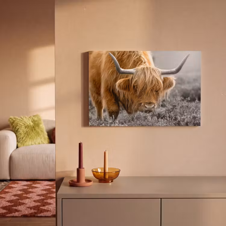 Schotse Hooglander - Dieren - Bruin - Koe - Zwart - Wit - Natuur canvas 2cm klein -sfeer1