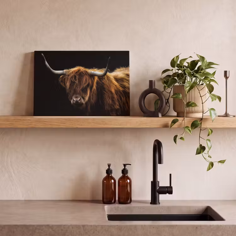 Schotse Hooglander - Horens - Zwart - Dieren - Natuur - Wild - Koe canvas 2cm klein -sfeer3