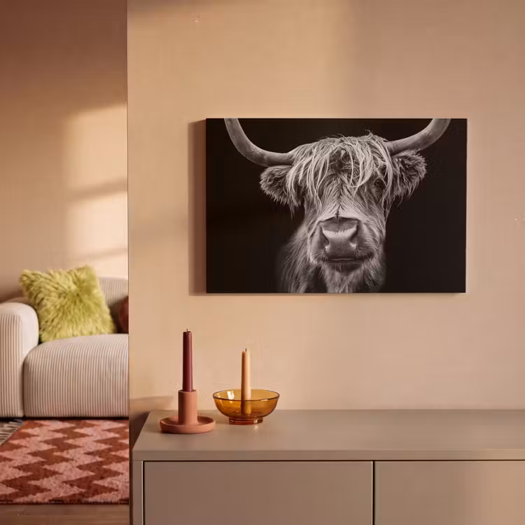 Schotse Hooglander - Horens - Zwart - Wit - Koe - Wild - Dieren canvas 2cm klein -sfeer1